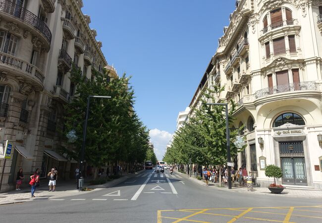 街路樹が続く美しい通り