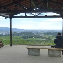 展望所にある東屋