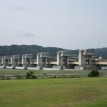 紀の川大堰(紀の川)