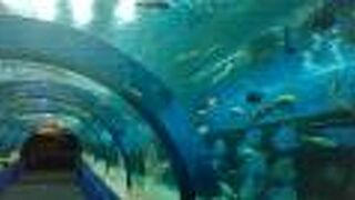 良心的な値段で内容充実