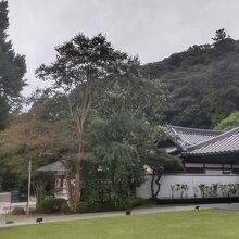 清荒神清澄寺（サルスベリ・ピンク＆白）