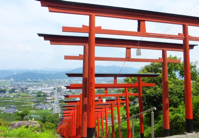 鳥居が連続のインスタ映えスポット