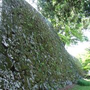 日本三大山城のひとつ