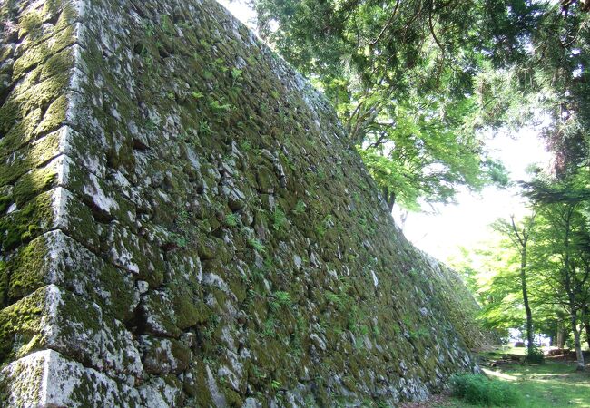 日本三大山城のひとつ