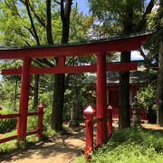 洗足池に浮かぶ小島にある小さな神社