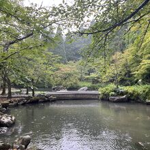 越前大仏 日本庭園