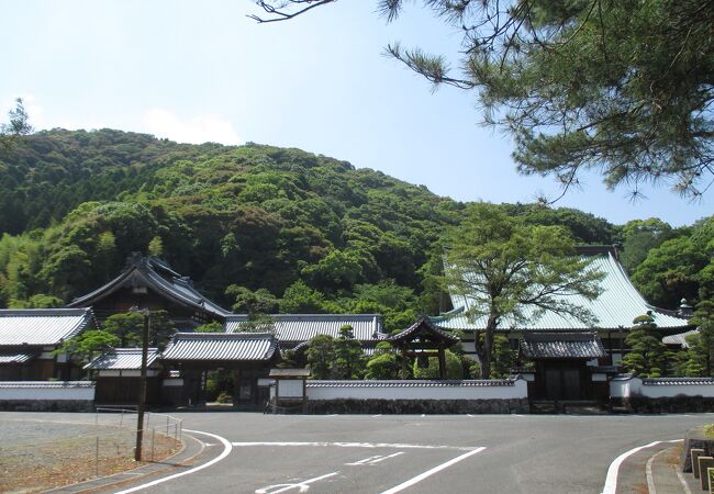 大きなお寺さんですねぇ。