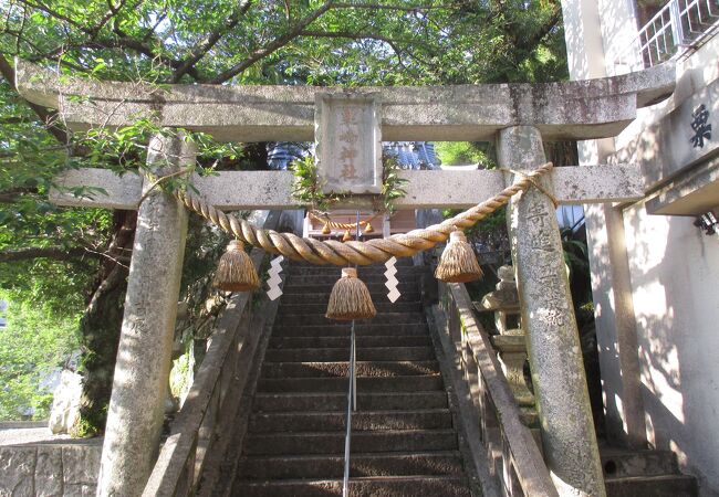 大きな龍の飾り瓦が、見応えがありました。