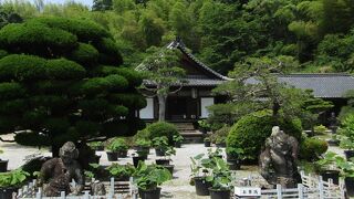 臼杵石仏地域の守護寺
