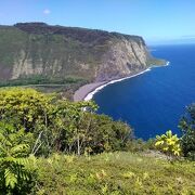 ハワイ島を代表する景観の地ワイピオ渓谷を訪れました!!