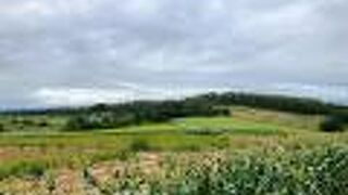 畑が広がる景色