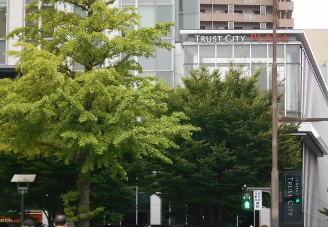 ５階にコンビニあり