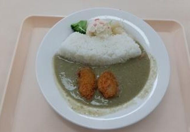 ここに来たらダムカレー