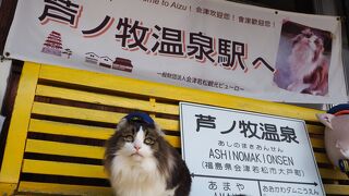 かわいい猫が働く駅です