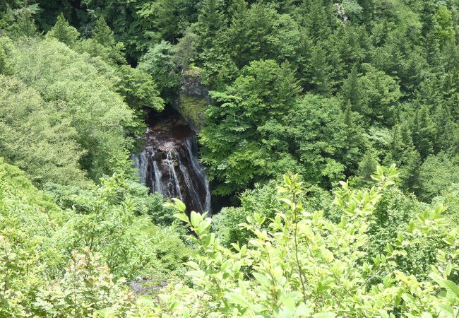 横谷渓谷で落差が最も大きい滝