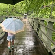 雨の吊り橋