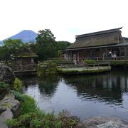 富士山も見れる絶景