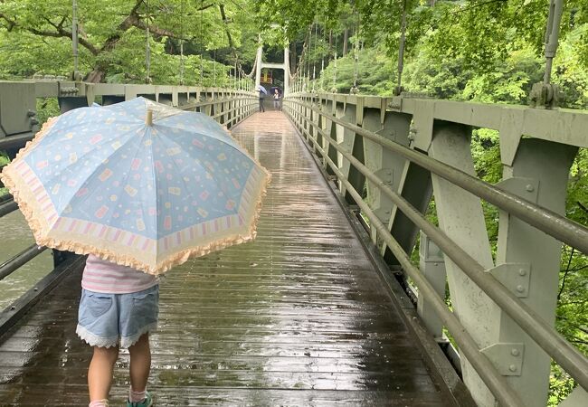 雨の吊り橋