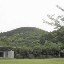 仙崎つつじ公園から