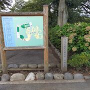 初秋の花が咲き乱れる沼田公園