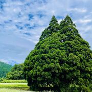 狭いので平日がオススメ