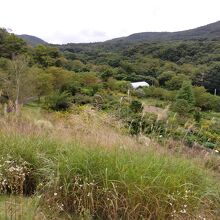 最上部から庭園を見下ろす