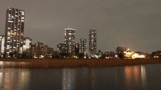 上野公園の大きな池！