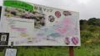 山の斜面を利用した自然公園