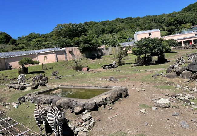 伊豆アニマルキングダム クチコミ アクセス 営業時間 稲取温泉 フォートラベル