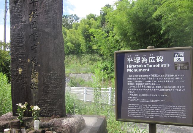 道路沿いのスポット