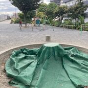 ジョガーたちには貴重な公園なのです。