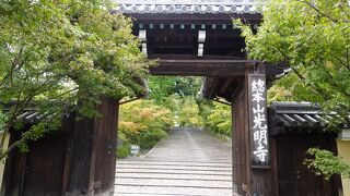 さぞかし紅葉が美しいだろうと思われる参道でした