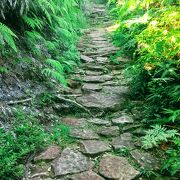 ほぼ登山です