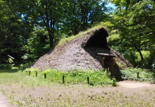 遺跡庭園 縄文の村