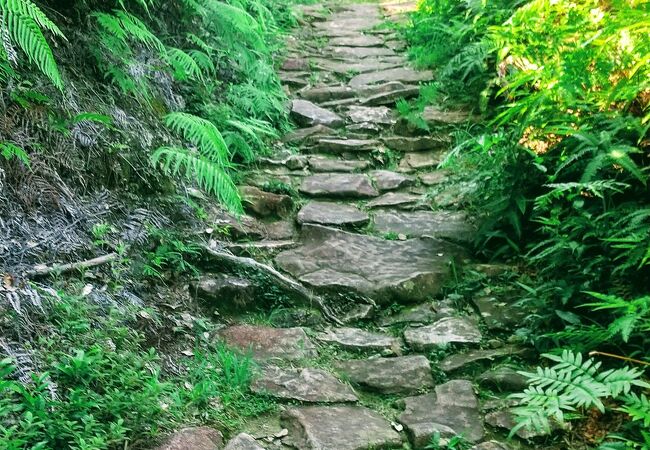 ほぼ登山です