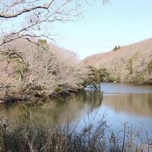 茨城県水郷県民の森大膳池の風景