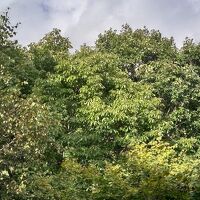 ツインルームからの眺めです。