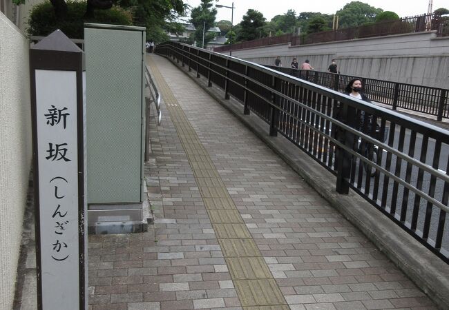 街路樹の「根っこ攻撃」が すごい坂