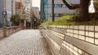 橋の下は首都高速