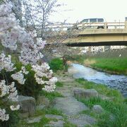 川辺に降りれる階段や桜並木などがありじっくり歩ける川です