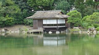 東本願寺の飛地境内地の庭園