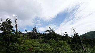 ロープウェイで上りました