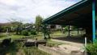 この時期はお花もなく・・・