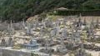 青い海に向かって