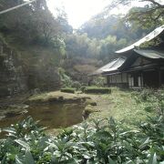 思いのほかワイルドなテイストの庭園