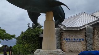 ようやく来れた水族館