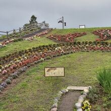 花が植えられた丘の上に、展望台があります。