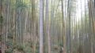 規模が大きくてたいへん見応えがありました。