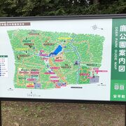 公園というよりは森のように広い