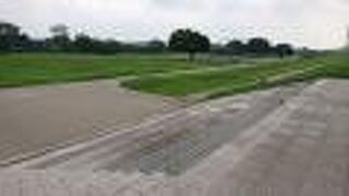 休日のお昼頃、運動やレクリエーションをする人が見受けられました